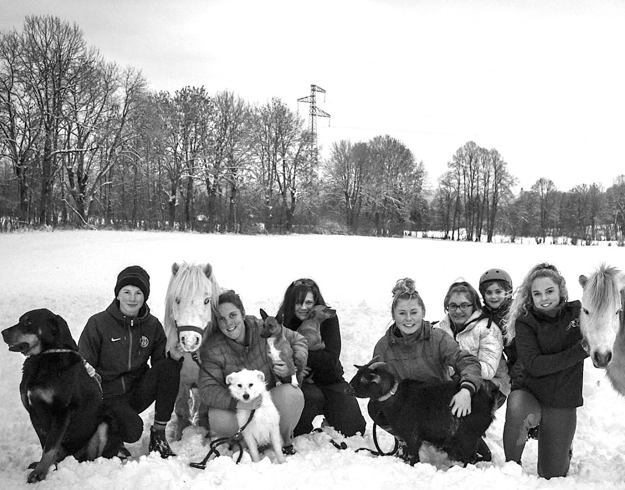 EmbeddedImage équipe de l'association