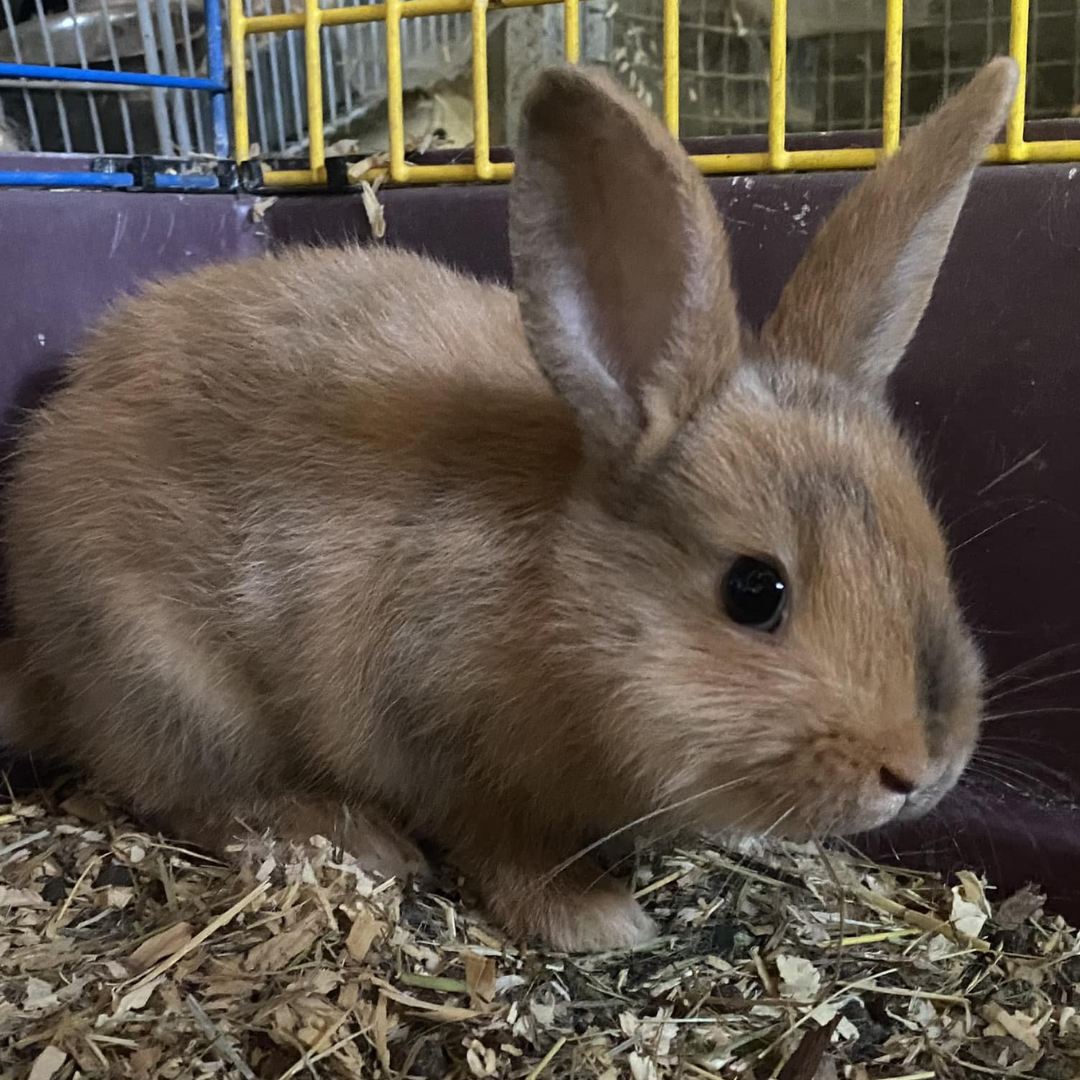 Design sans titre (1)