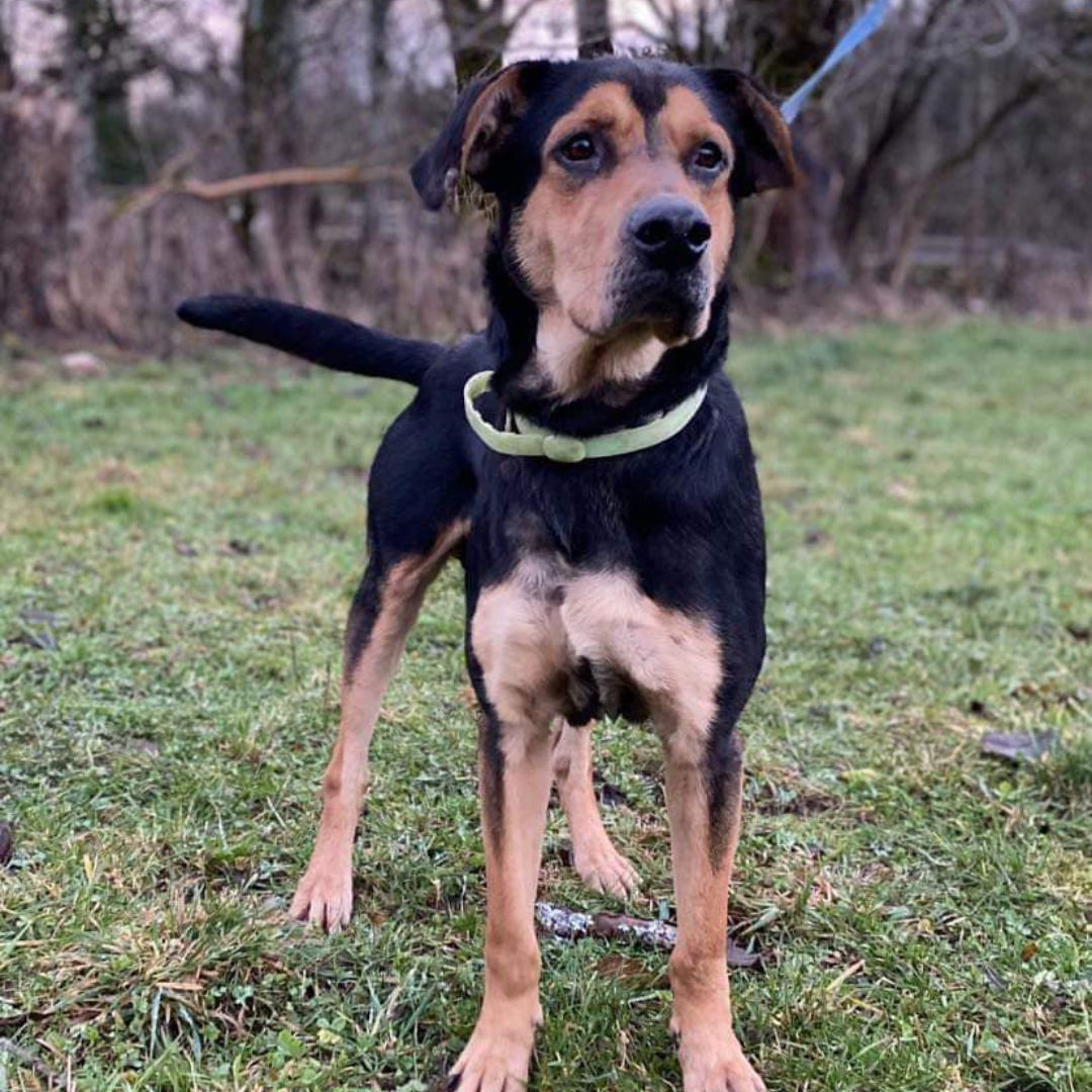 Design sans titre (2)