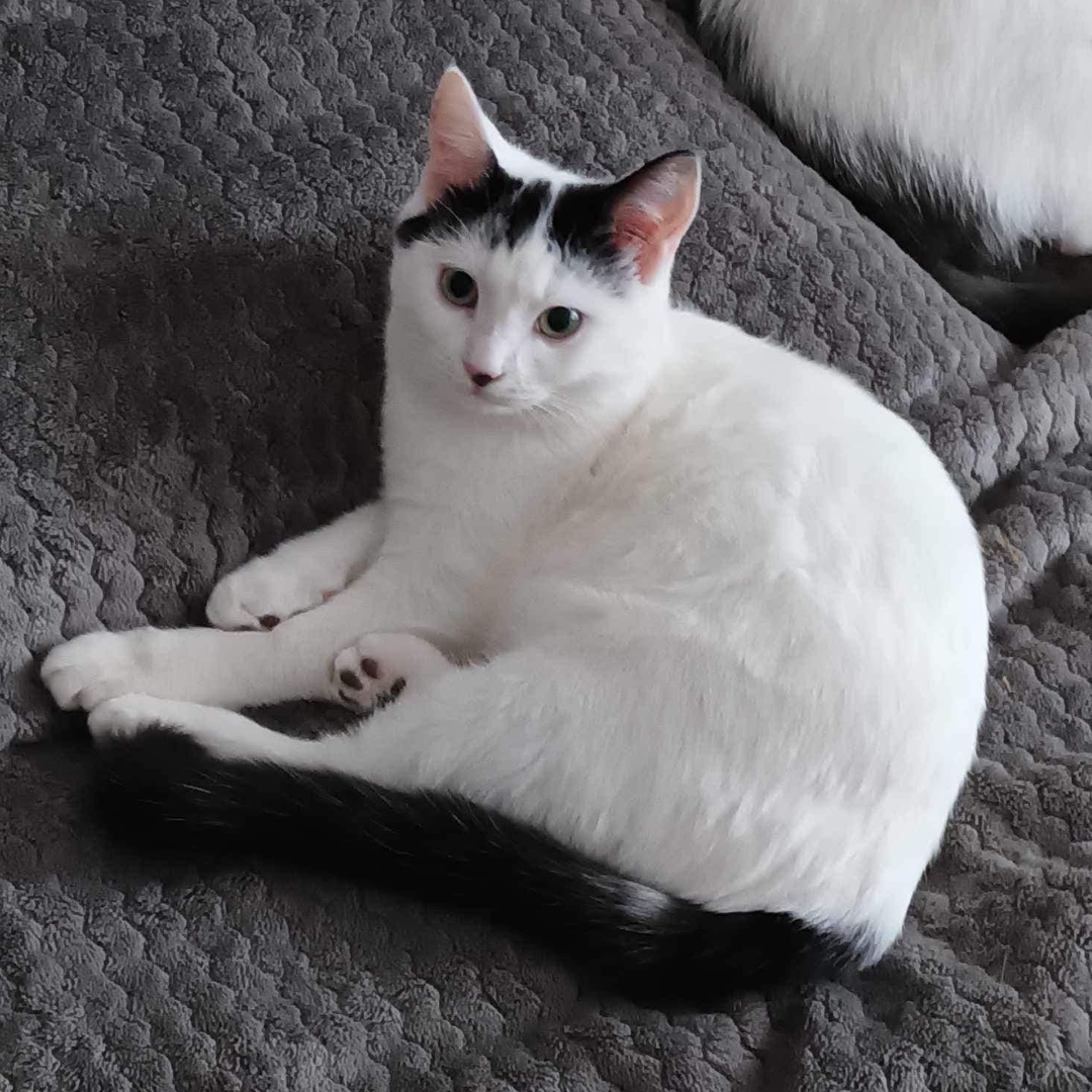 Design sans titre (3)